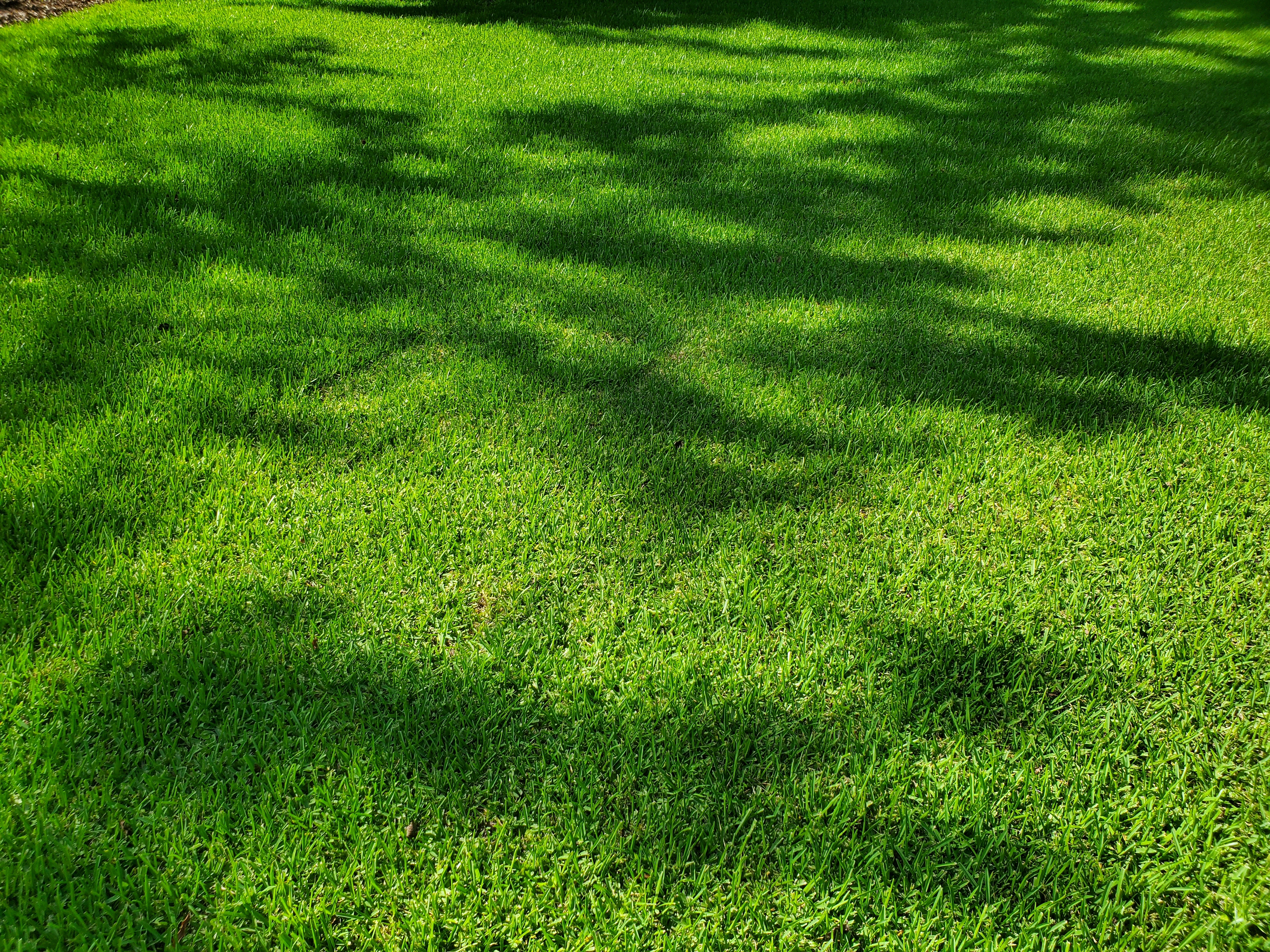 Shadow and ground