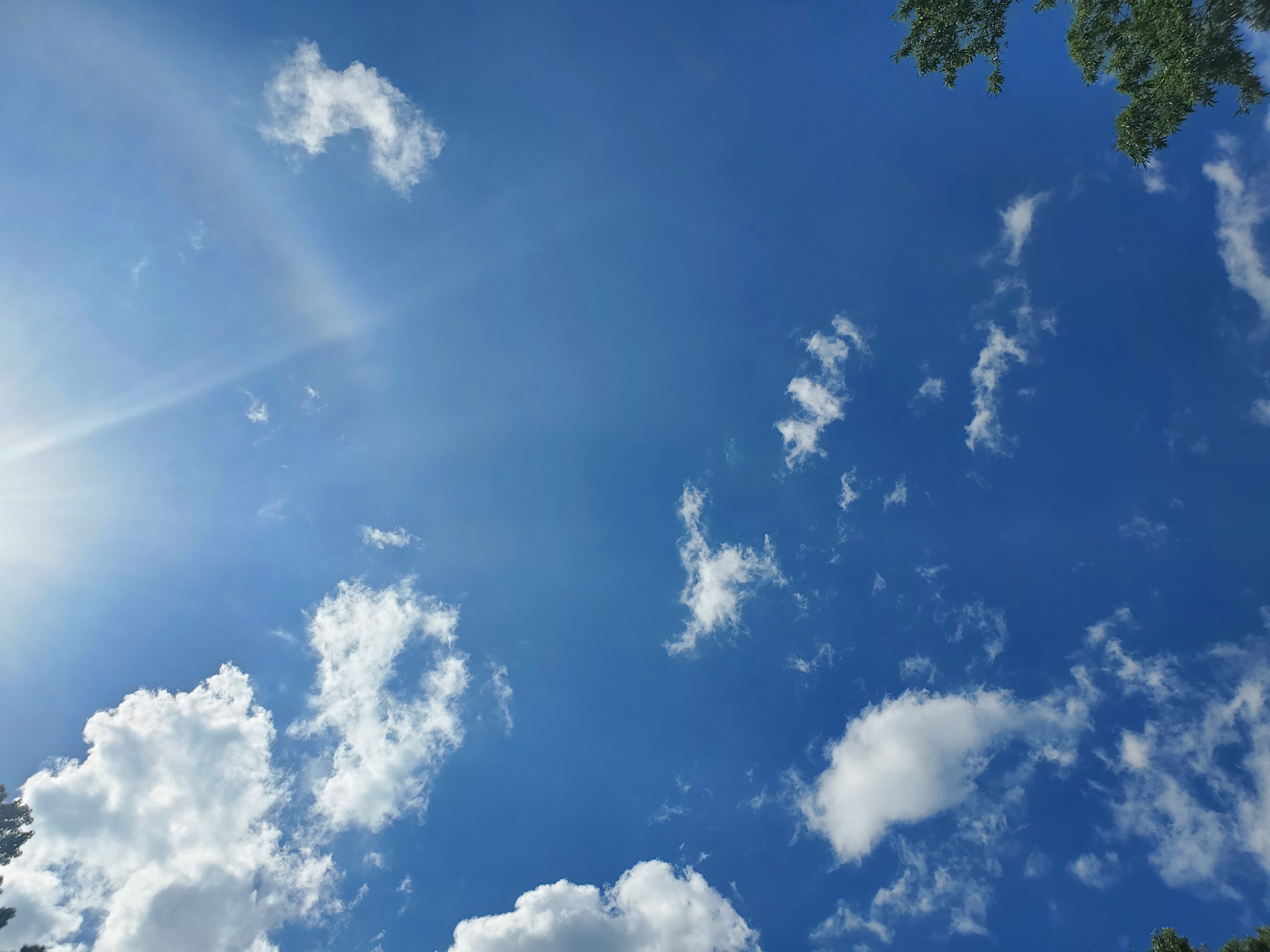 sunbeam
